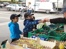 Marktbesuch Stand Web