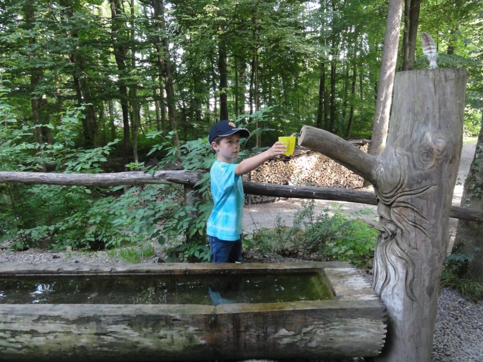 dsc06095_web