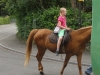 dsc00381_web