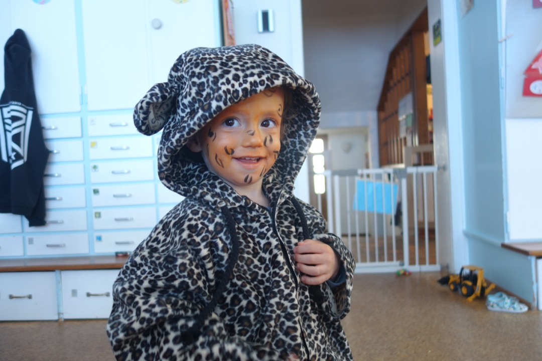 dsc00468_web