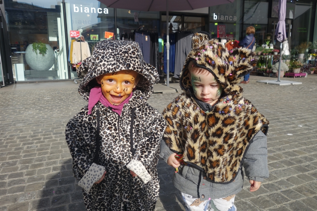 dsc00638_web