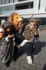dsc00608_web