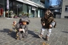 dsc00635_web