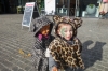 dsc00641_web