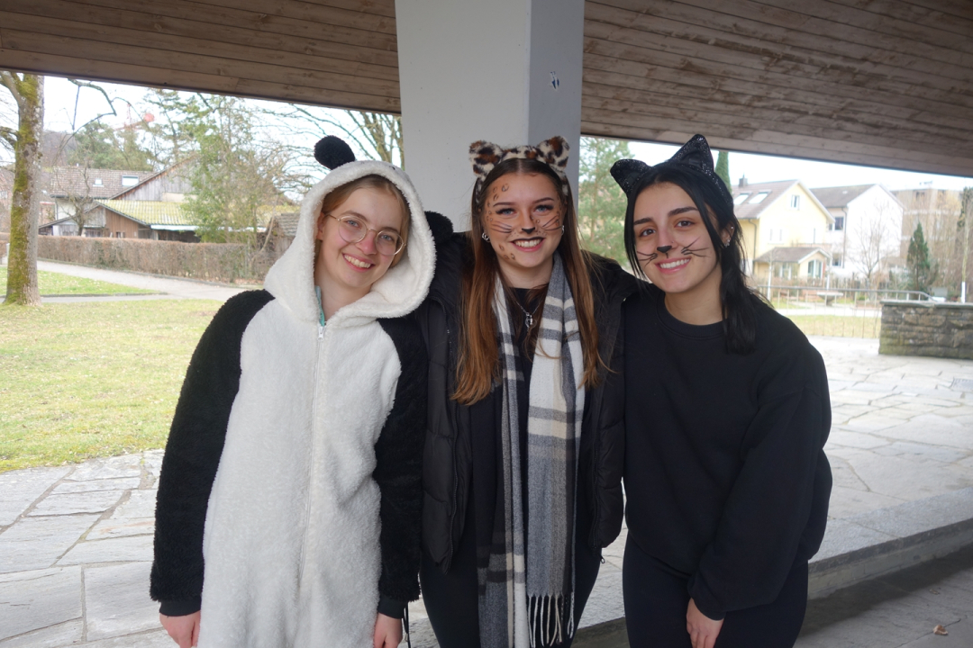 dsc06333_web